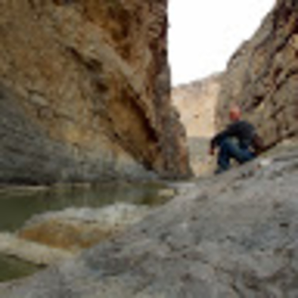 Meet your Posher, Sonya